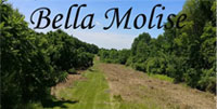 Bella Molise Murrysville, PA